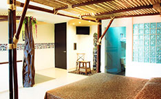 Mira nuestras habitaciones Safari