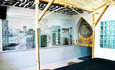 Mira nuestras habitaciones Safari Urbano